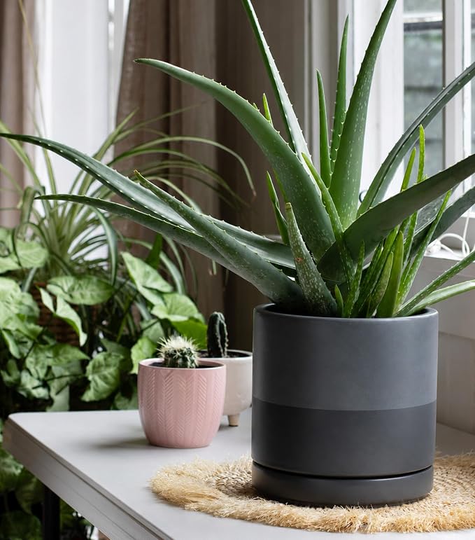 D'vine Dev 8 Inch Ceramic Planter Pot with Drainage Hole and Saucer, Indoor Cylinder Round Planter Pot, Slate, 94-O-D-5