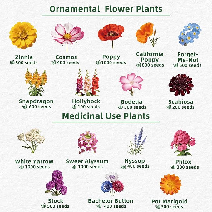30 Edible Flower Seeds Variety Pack, 13500+ Premium Garden Seed Vault Kit, Pollinator Friendly, Indoor & Outdoor Year Round Planting, Nasturtium, Lavender, Borage, Calendula, Chamomile & More