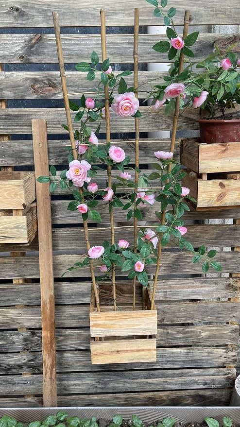Natural Bamboo Trellis, 3Feet,3Pack,Fan-Shaped Plant Support Trellis for Outdoor and Indoor Potted Climbing Plants,Vegetables, Cucumber, Tomato, Hoya,