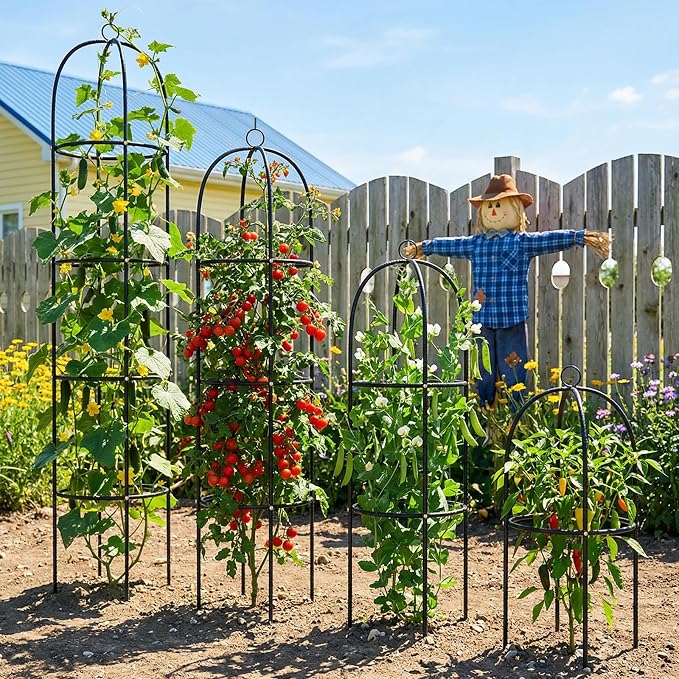 Metal Trellis for Climbing Plants Outdoor, 2026 Upgrade 100% Metal with Powder Coating, Rose, Flowers, Grape, Pea, Cucumber Tomato Cage - 6.3 FT Freestanding Plant Support