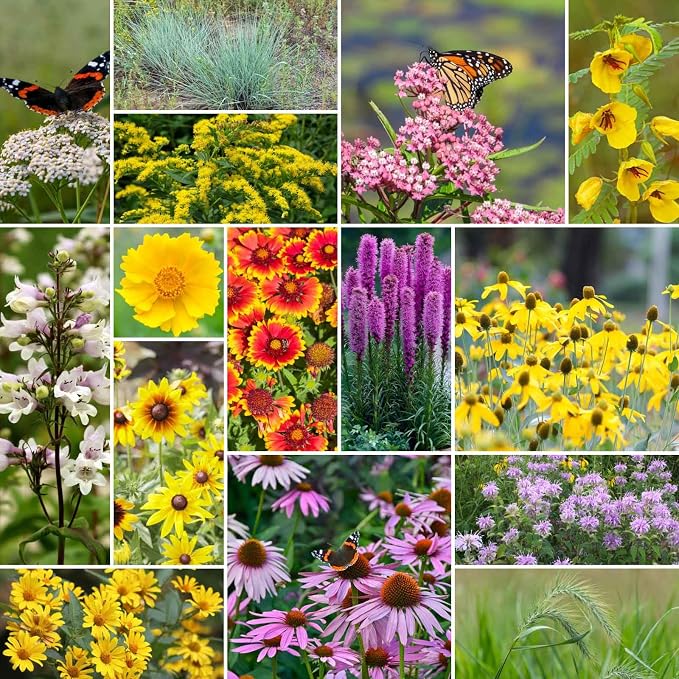 Eden Brothers Erosion Control Flower Seed Mix