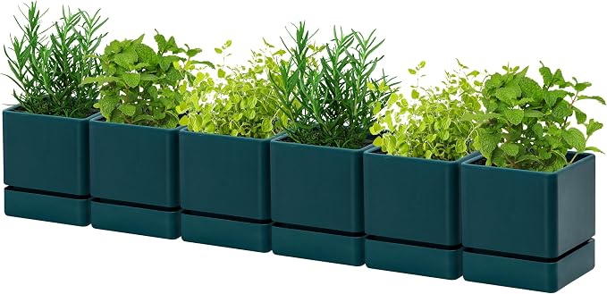 D'vine Dev 4 Inch Herb Planter Pot, Plastic Planter with Drainage Holes and Saucer, Modern Decorative Gardening Pot for Indoor Plants, Flowers, Herbs, Succulents, Green, Set of 6, 76-Y-C-6