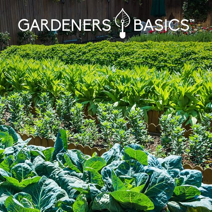Gardeners Basics Seed Safe Kit - 35 Easy to Grow Heirloom Vegetable Seeds for Beginners - Non GMO Garden Starter Set with 17,000+ Seeds - Gardening Gift for Families