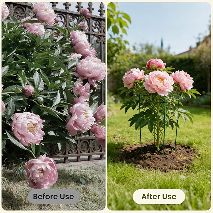 6 Pack Peony Cages and Supports, 12" x 24" Tall Peonies Support Cage | Heavy Duty Metal Peony Stakes and Supports for Rose Hydrangea Flower Plant