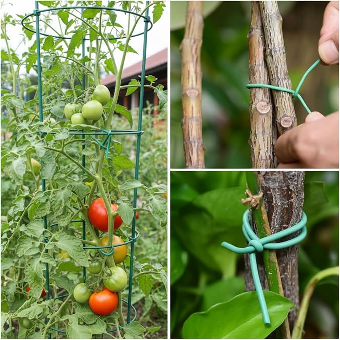 Zhengmy 150ft/46m Green Garden Wire, Sturdy Plant Ties with Wire Cutter, Twist Garden Ties Gardening Supplies 2.5 mm Diameter for Supporting Climbing Plants Office Organization and Decoration Binding