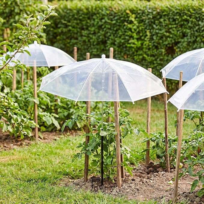 Novabright 6 Pack 27.5" Transparent Plant Umbrellas for Outdoor Plants, Mini Greenhouse Dome Protector with Adjustable Height Angle Plant Shade Cover for Garden Bed Vegetables Flower Potted Rainproof