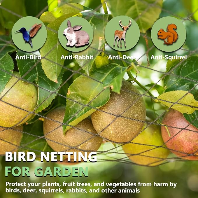 Bird Netting for Garden 10 x 10 FT Heavy Duty Black Garden Netting for Fruit Trees, Chicken Coop, Pond, Blueberry Bushes, Poultry & Deer Netting, HDPE Plant Protection Net Fence with Ties