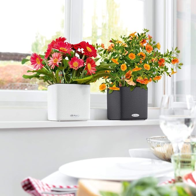 Lechuza Cube Color 16 Slate, Self-Watering Indoor Small Plant Pot, H6.3 L6.7 W6.7 in