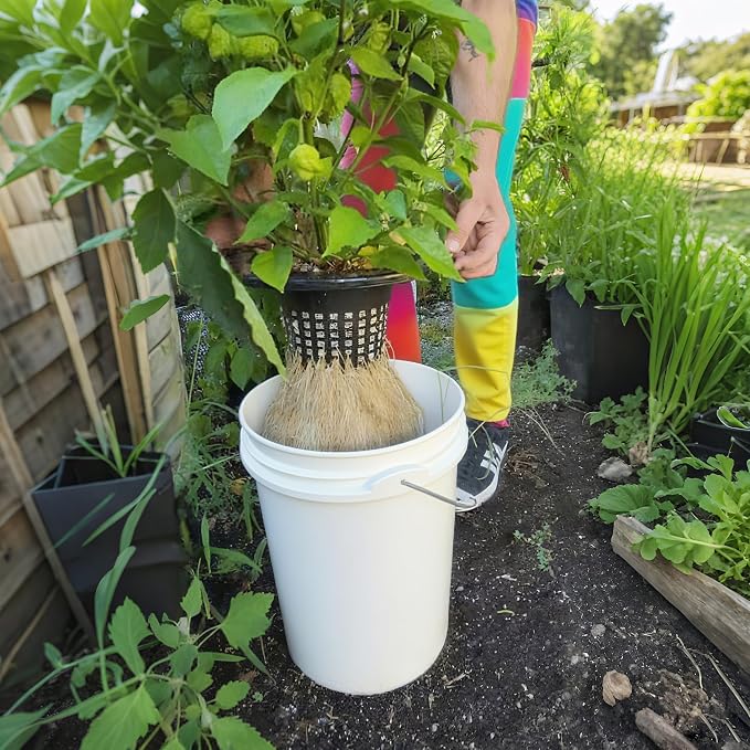 6 Inch Net Pots with Wide Lids for 3.5 and 5 Gallon Buckets 5 Pack Hydroponic Net Cups