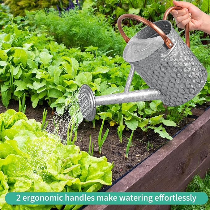 1 Gallon Metal Watering Can for Outdoor Indoor Plants, Galvanized Watering Can with Removable Spray Spout, Ideal for Garden Watering