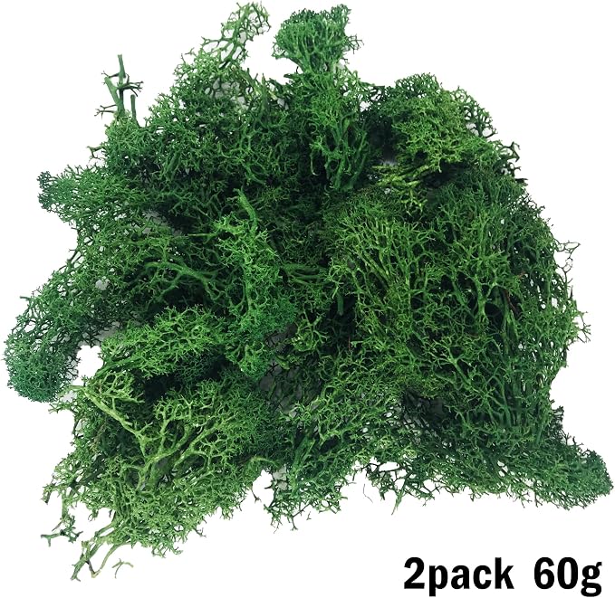 Cayway 83 PCS Fairy Garden Accessories Outdoor, Fairy Supplies Micro Landscape Decoration, Mixed Model Trees for DIY Craft Garden Decoration