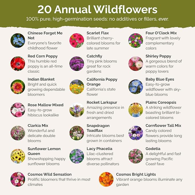 Eden Brothers All Annual Wildflower Mixed Seeds for Planting, 1 oz, Seeds with Sunflower, Indian Blanket, Scarlet Flax | Attracts Pollinators, Plant in Spring, Zones 3, 4, 5, 6, 7, 8, 9, 10