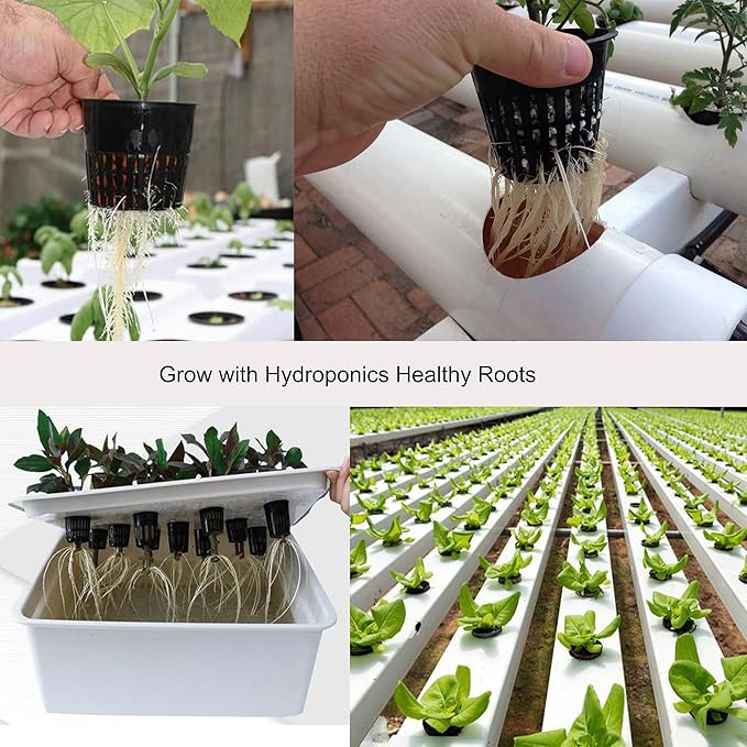 ORIMERC Leca Clay Pebbles for Plants Hydroponic Come with 2 inch Net Pots 12 Pack, Self Watering Rope & Plant Labels, Clay Balls for Plants Growing Aquaponics Orchid Drainage Terrarium
