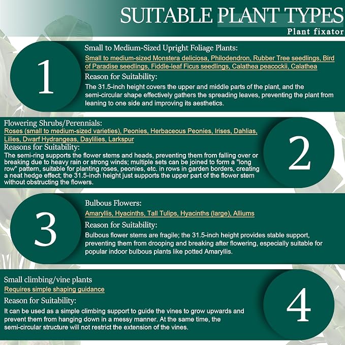 6-Pack 31.5” Plant Support Stakes, Steel Plant Cage & Peony Tomato Hydrangea Cage, Garden Stakes for Outdoor Plants, Heavy-Duty Plant Stakes, 16.7” Support + 14.8” Extension Tubes