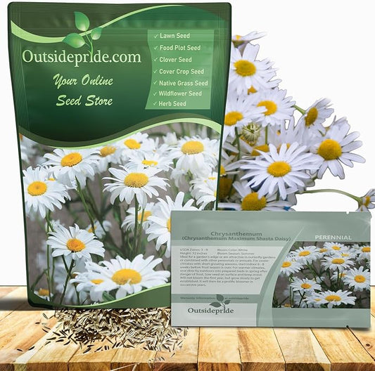 Outsidepride Shasta Daisy Chrysanthemum Seeds - 1/4 Lb. Perennial Deer Proof, Drought Tolerant, Wildflower Seeds for Pollinator Gardens, Cut Flowers & Water-Efficient, Low Maintenance Landscaping