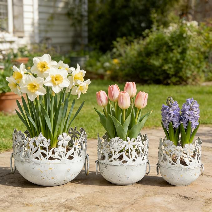 3 Piece Vintage Metal Planter Set, Rustic Distressed Farmhouse Flower Pots with Handles for Indoor Outdoor Garden, Tabletop Centerpieces & Wedding Decor