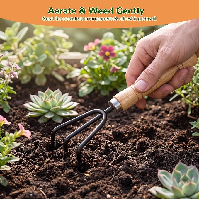 3 Pcs Mini Garden Tool Set with Small Trowel, Mini Shovel & Hand Rake | Iron Gardening Hand Tools with Wood Handle, Potting & Transplanting Tool Kit for Houseplants, Succulents, Herbs & Flowers