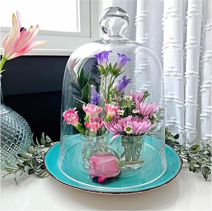 Plymor 8.5" x 11" Bell Jar Glass Display Dome Cloche (Interior Size 8.25" x 9.5")