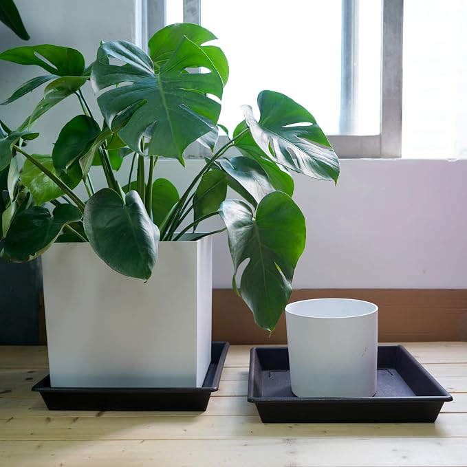 NIMYAU Square Plant Saucer 10 Inch 5 Pack, Plant Stand Flower Pot No Holes, Plant Trays for Pots Heavy Duty Plastic Plant Saucers for Indoors Outdoors Plant Lover Gardening Gifts