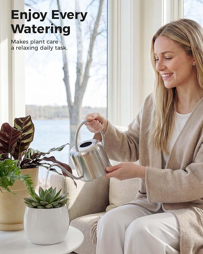 Bamworld Metal Watering Can for Indoor Outdoor Plant 1L/35oz Silver Stainless Steel Watering Can with Long Spout for House Potted Plants Succulents Bonsai Garden Flowers