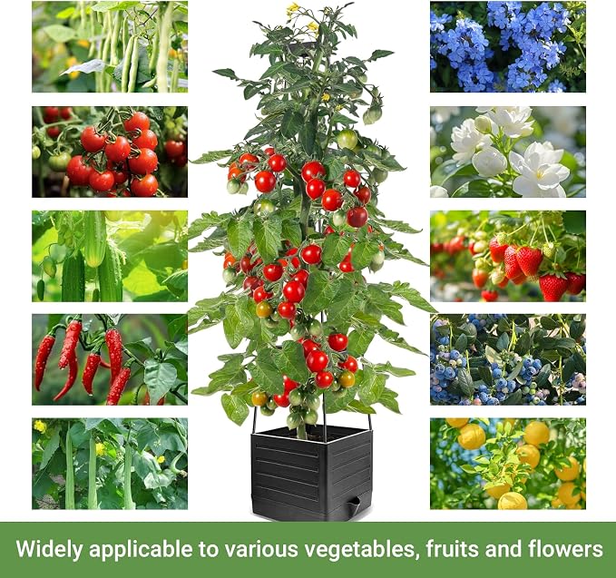 2 Pack Tomato Planter with Trellis 57 Inch, Raised Garden Bed Planter Boxes Self-Watering for Climbing Vegetable, Plants and Tomato Cages for Indoor Outdoor