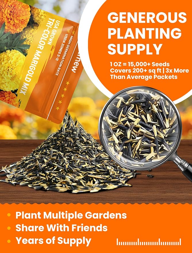 French Marigold Seeds - Heirloom Petite Tri-Color Mix - Vibrant Yellow/Orange Blooms - 15000+ Seeds for Outdoor Planting (Borders/Beds/Containers) - Quick Blooming, Companion Plant, Easy Grow