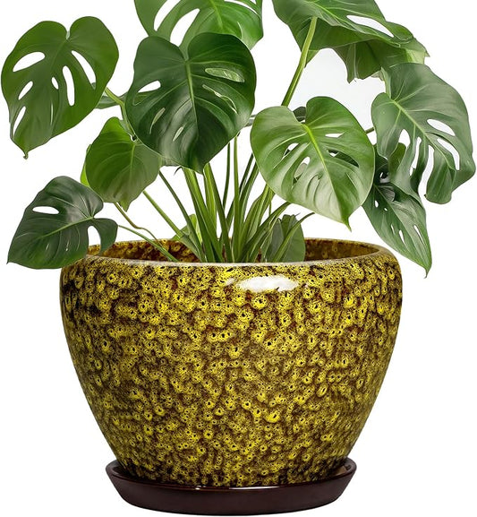 8 Inch Ceramic Flower Pot, Yellow Leopard | Drainage Hole and Saucer, Indoor Outdoor Use, Round Plant Pot, Decorative Planter