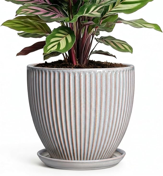 6 Inch Pots for Plants, Ceramic Plant Pots for Indoor Snake Plants, Round Succulent Planter with Drainage Hole and Saucer, Modern Decorative Flower Pot, Bathroom Decor, Gardening Gifts, Grey