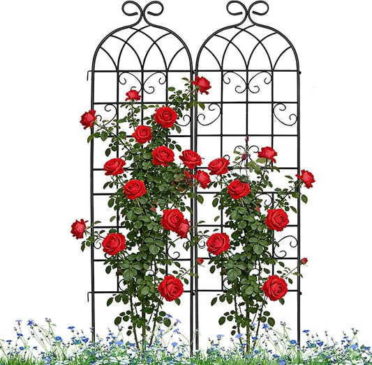 Lorenzo 2 Pcs 70 x 19.7 Inch Metal Garden Trellis for Climbing Plants Outdoor, Black Coated Frame, Plant Support for Outdoor Roses Vines Cucumber Vegetables