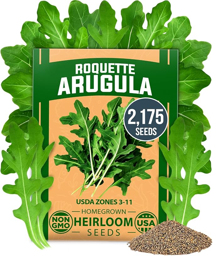 HOME GROWN Arugula Roquette Seeds 2,175+ Heirloom Non-GMO Seeds for Planting, High Germination, Fast Growing Peppery Salad Greens, Indoor Outdoor Hydroponic Garden, Microgreens (Eruca vesicaria)