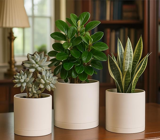 D'vine Dev 6 Inch 6.5 Inch 8 Inch, Set of 3 Plastic Planter Pots for Plants with Drainage Hole and Seamless Saucers, Oatmeal, Medium, 74-V-H-3