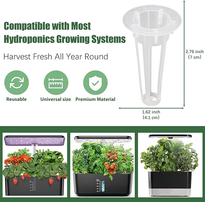 Oregano Seed Pods for All Hydroponics Growing Systems, 12 Pods Herb Kit with 600+ Seeds of Oregano, Grow Your Own Herb Garden at Home