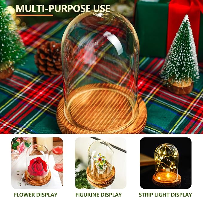 ZEERSHEE Small Cloche Glass Dome with Wooden Base, Glass Display Dome Bell Jar for Plants, Keepsakes, Collectibles and Home Decor, Mini Cloche for Fairy Lights & Preserved Flowers, 5.1" H x 3.9" W