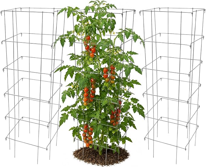 Garden Elements Square Tomato Cage, 48 Inch (Pack of 3) - Heavy Duty Galvanized Steel Plant Support, Collapsible Garden Trellis with 8-Leg Stability for Climbing Vegetables & Vines