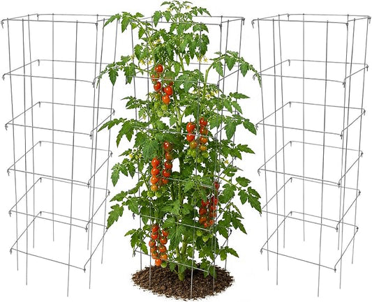 Garden Elements Square Tomato Cage, 48 Inch (Pack of 3) - Heavy Duty Galvanized Steel Plant Support, Collapsible Garden Trellis with 8-Leg Stability for Climbing Vegetables & Vines