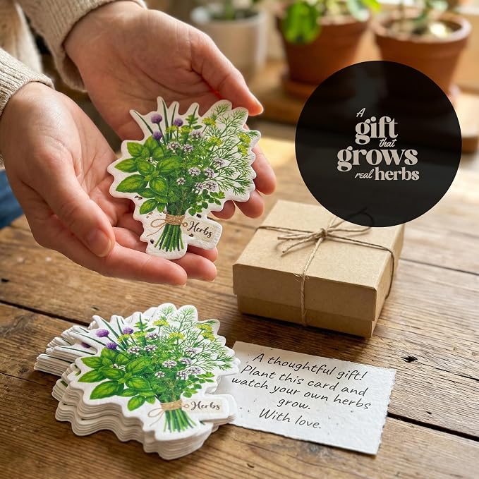 Plantable Herb Seed Paper – 24 Herb-Shaped Planting Seed Papers Writable & Plantable Gift for Moms, Plant Lover, & Teachers, Classroom Activities, Garden Projects, & Celebration Favors