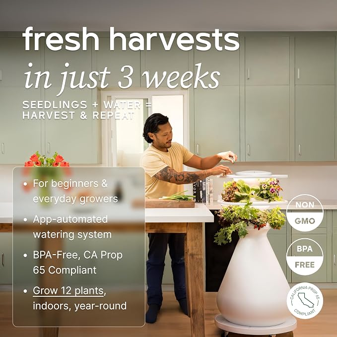 Lettuce Grow Farmstand Starter Kit with Glow Rings and 12 Seedling Credits | Tiny Hydroponic Growing System Kit | Vertical Garden Planter Tower | 3ft 8in Tall