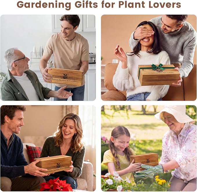 Flower Growing Kits, Windowsill Plant Starter Kit, Indoor Garden Starter Kit with Seed(Rose), Plant Gifts for Women, Mom Gifts