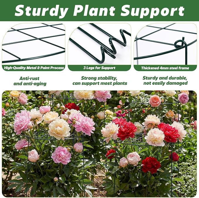 4 Pack Round Peony Cages and Supports 12 x 16 Inches (D x H) Grow Through Grid Plant Brace Plant Support Stake Heavy Duty Metal Flower Support Rings for Rose Tomato Hydrangea Strawberry