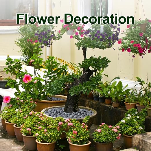 20 lbs Rocks for Outdoor Landscaping, 1"-2" Aquarium Rocks for Fish Tank, Natural Decorative Garden Stone for Plants, Flower Pots, Vase, Walkways, Yard