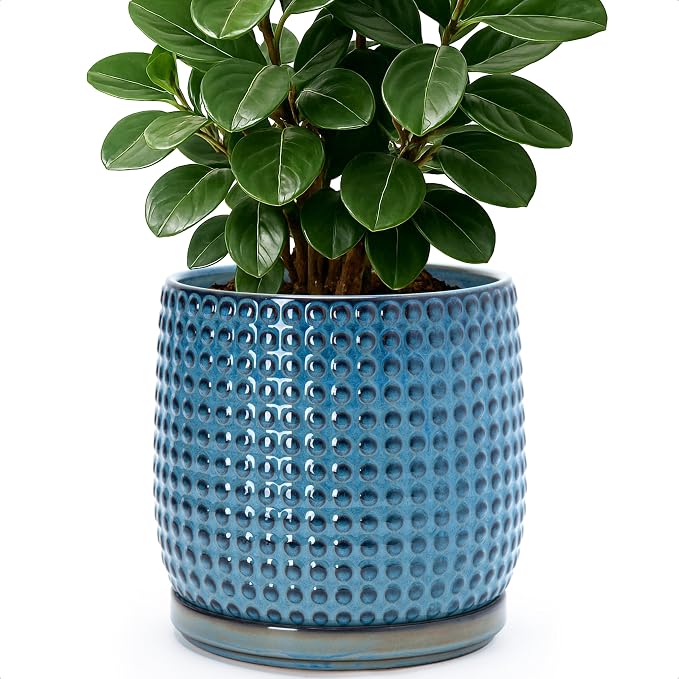 D'vine Dev 8 Inch Ceramic Beaded Stoneware Planter Pot - Flower Pot with Drainage Holes and Saucers for Indoor Succulent Plants or Flowers, Ocean Teal, 27-C-Q-8