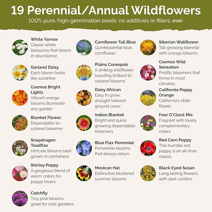 Eden Brothers Dry Area Wildflower Mixed Seeds for Planting, 1 lb, 480,000+ Seeds with Cosmos, African Daisy, Blue Flax | Attracts Pollinators, Plant in Spring or Fall, Zones 3, 4, 5, 6, 7, 8, 9, 10