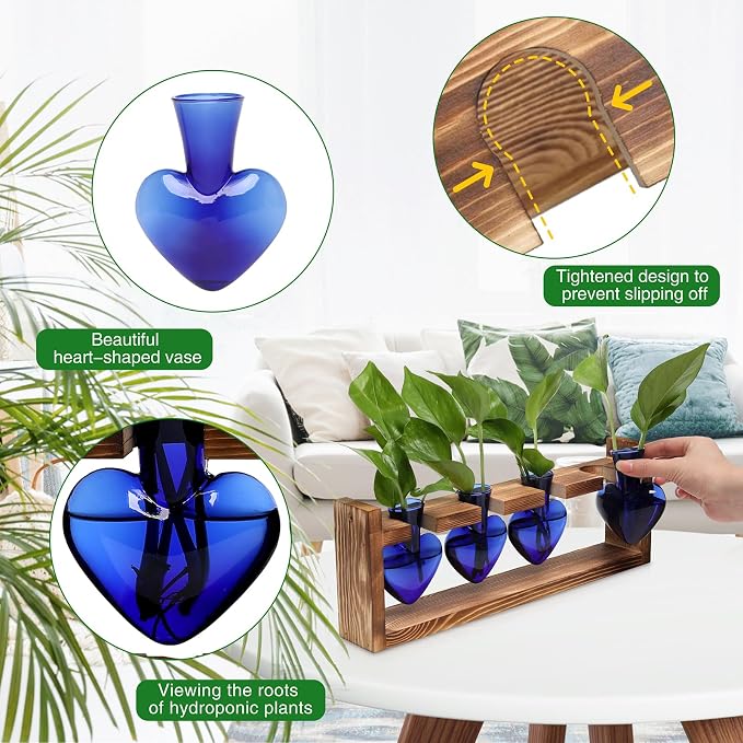Plant Propagation Stations Heart Plant Terrarium Kit | Gift for Women Plant Lover Glass Vases