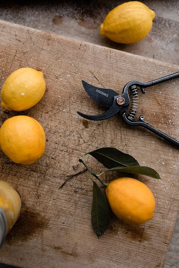 Barebones Pruner & Sheath - Vintage Inspired Japanese Design Pruners for Gardening - Multipurpose Pruning Shears with Canvas Sheath - Gardening Tools Made with Durable Steel