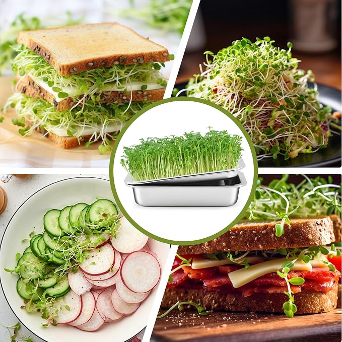 1 Pack Seed Sprouting Kit with Lid, 10.4 Inch Stainless Steel Soilless Culture Germination Tray, Microgreens Growing Kit, Encrypted Mesh Seed Starter Tray for Beans Alfalfa Broccoli Wheat Grass