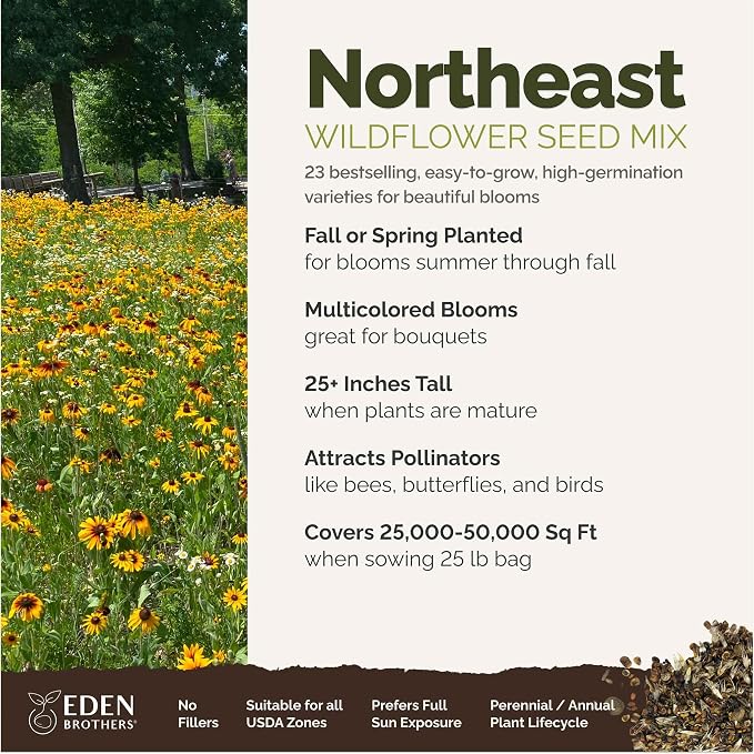 Eden Brothers Northeast Wildflower Mixed Seeds for Planting, 25 lb, 12,000,000+ Seeds with Cosmos, Candytuft, Shasta Daisy, Attracts Pollinators, Plant in Spring or Fall, Zones 3, 4, 5, 6, 7, 8, 9, 10