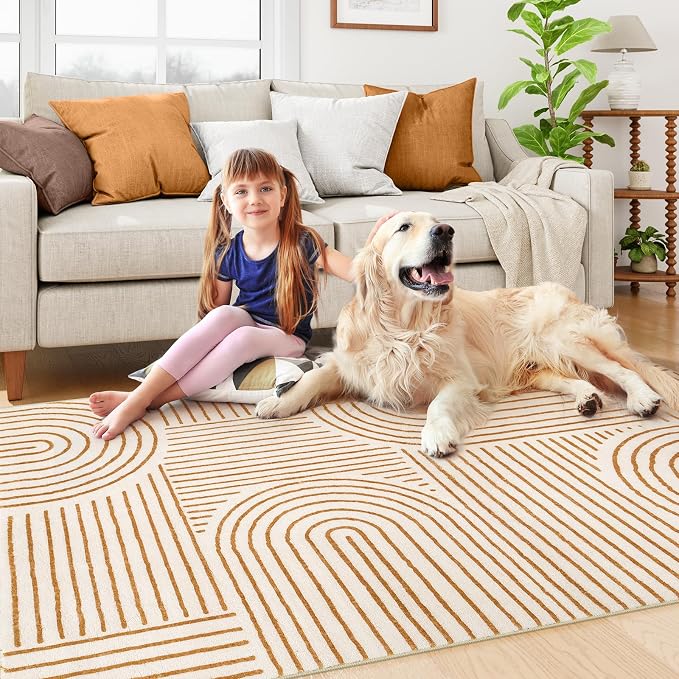 Lahome Abstract Orange Bedroom Rugs, Soft 4x6 Washable Rugs for Living Room | Non Slip Rainbow Ultra-Thin Throw Carpet for Entryway Kitchen Living Room Darrell, Orange