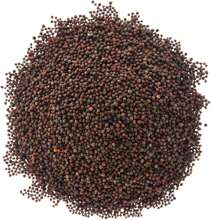 Sulforaphane MICROGREEN Seed Mix | Perfect for Microgreen Growing Trays | Kale, Cabbage, Turnip & Broccoli Sprouting Seeds | Non GMO Heirloom Seeds | 1 LB Resealable Bag | Rainbow Heirloom Seed Co.