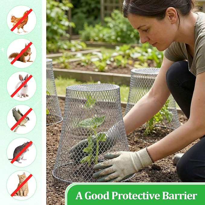 Therwen 20 Pcs Large Plant Wire Cloche 11 x 12 Inch Metal Garden Cloche with Garden Stakes Plant Protector from Animals for Keeping Bunnies Chicken Squirrels Birds (Silver)