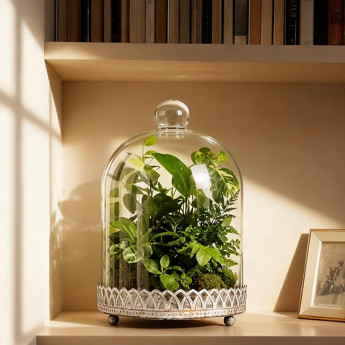 Twakutwku 8" Tall Large Sturdy Handmade Glass Cloche Dome with Metal Base in Shabby White for Plant, Terrarium, Collectibles, Candle. Cloche Glass Dome, Bell Jar Display Case (Shabby White, 8")